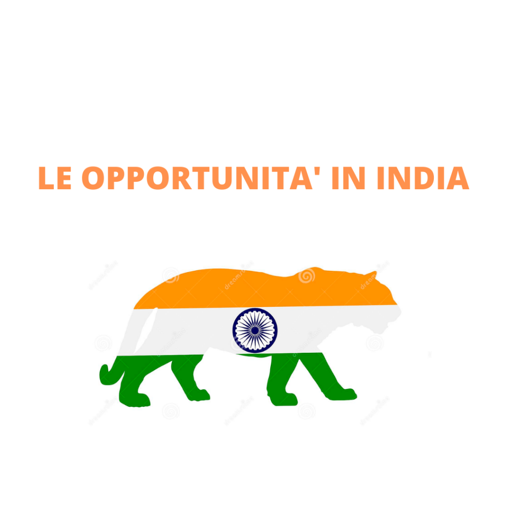 Rappresentazione visiva dell'articolo: LE OPPORTUNITA' IN INDIA