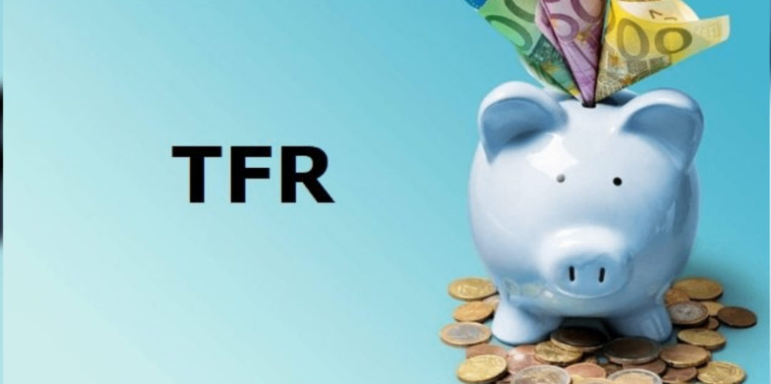 Rappresentazione visiva dell'articolo: Gestione ottimale del TFR