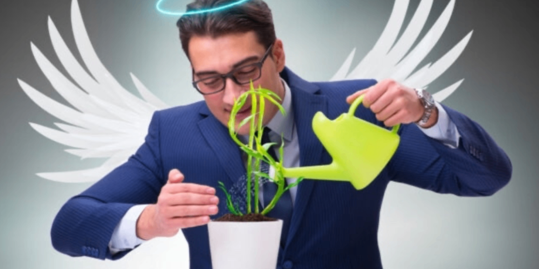 Rappresentazione visiva dell'articolo: Il mondo del Business Angel
